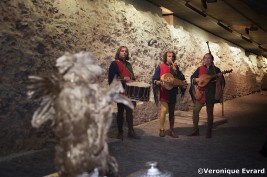 thumb_small_ommegang-2013-coudenberg-rep1115-veronique-evrard