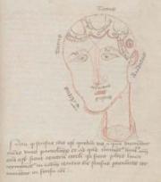 affichesorbonne27.01-v