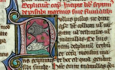 valenciennes-ms-320-debut-livre-poissons-IRHT_090593_2