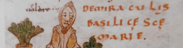 Capture-d%u2019écran-2017-08-17-à-12.23.50