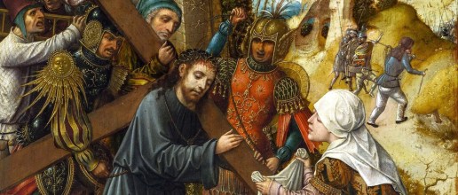 rotator-zamieszkać-z