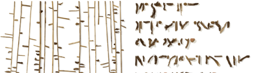 cropped-Image-1-2