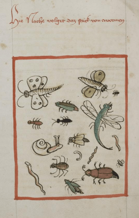 Cod.-Pal.-germ.-311-f.-189v-K.-von-Megenberg-B.-d.-Natur-insectes-détail